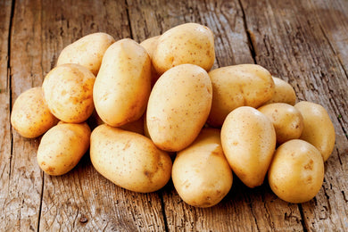 Seed Potato, Kennebec  /lb