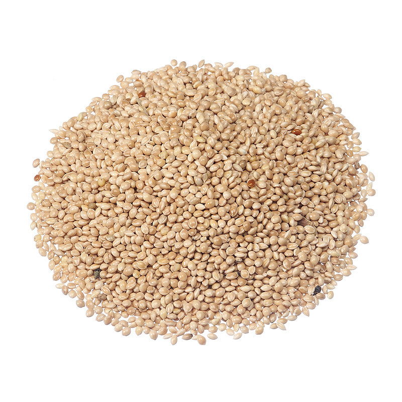 ☆millet☆ White Millet Bird Feed 50lb – Settlers Supplies