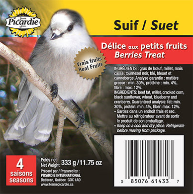 Suet, Berries Treat
