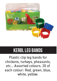 Poultry Legband 12mm Pack of 100