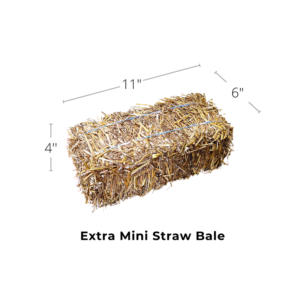 Decorative Straw Bale Extra Small