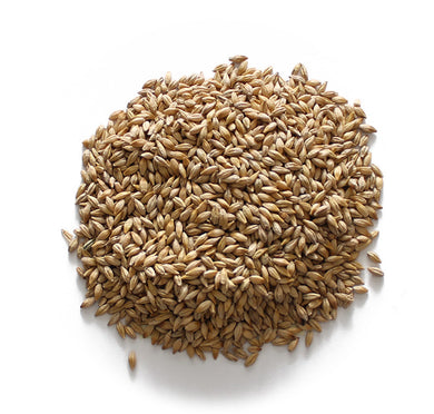 Barley, Malting Clean  25kg