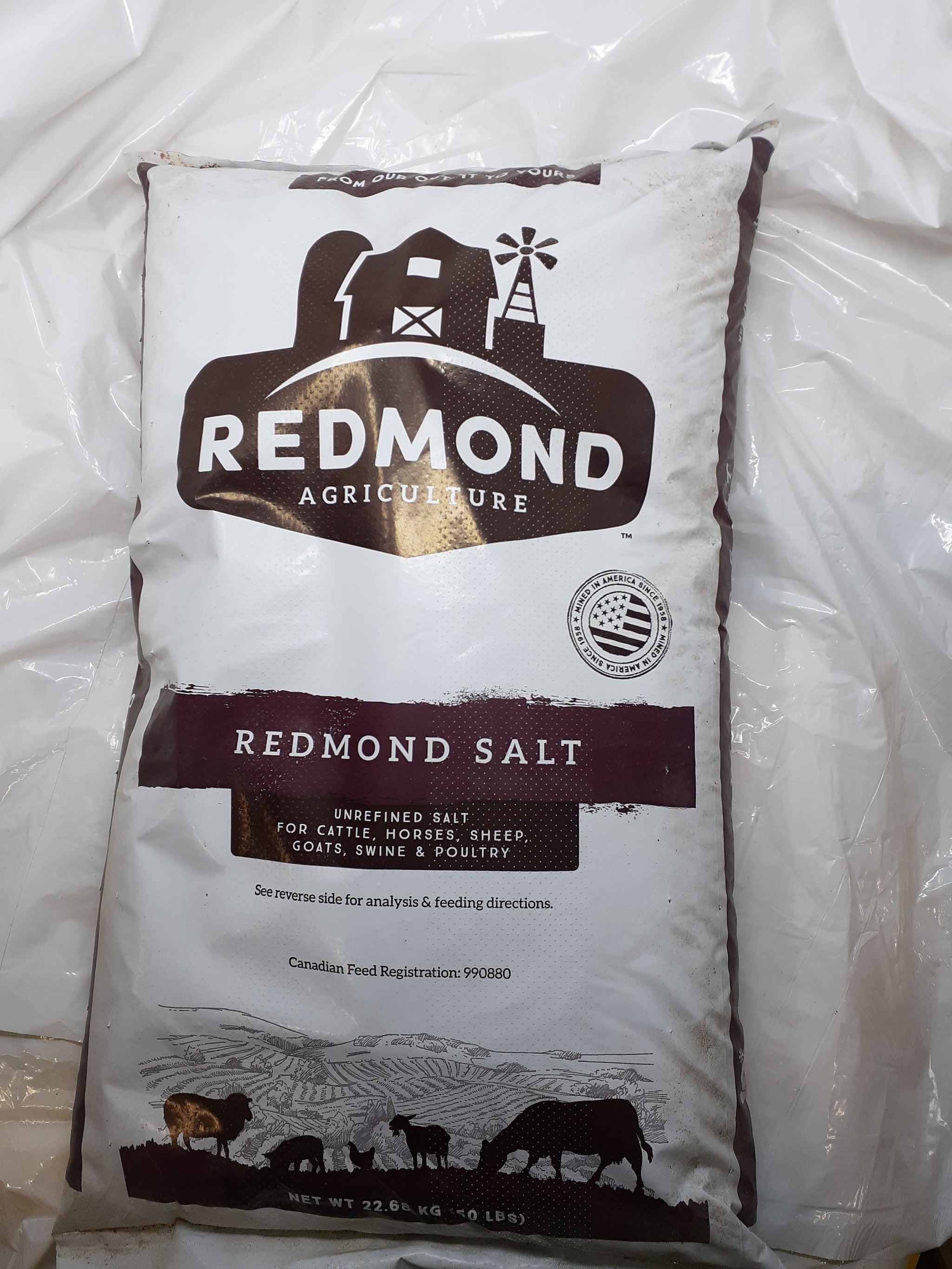 Salt & Minerals – Tagged 